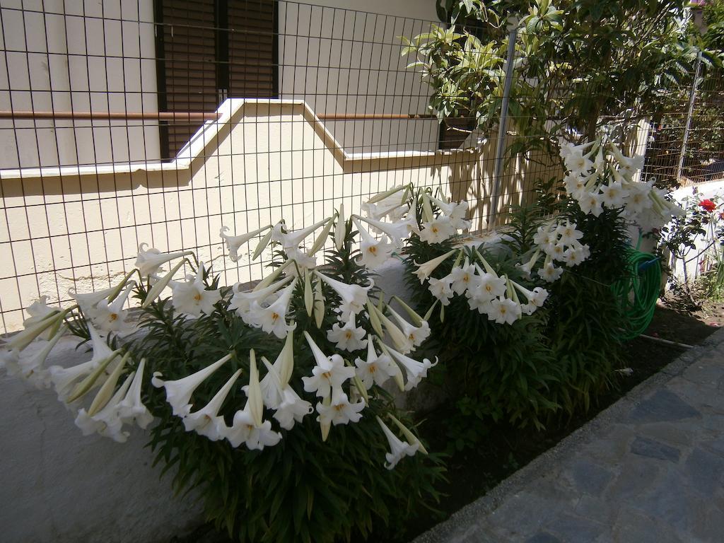 Amfi Apartments Kardamena  Exterior photo